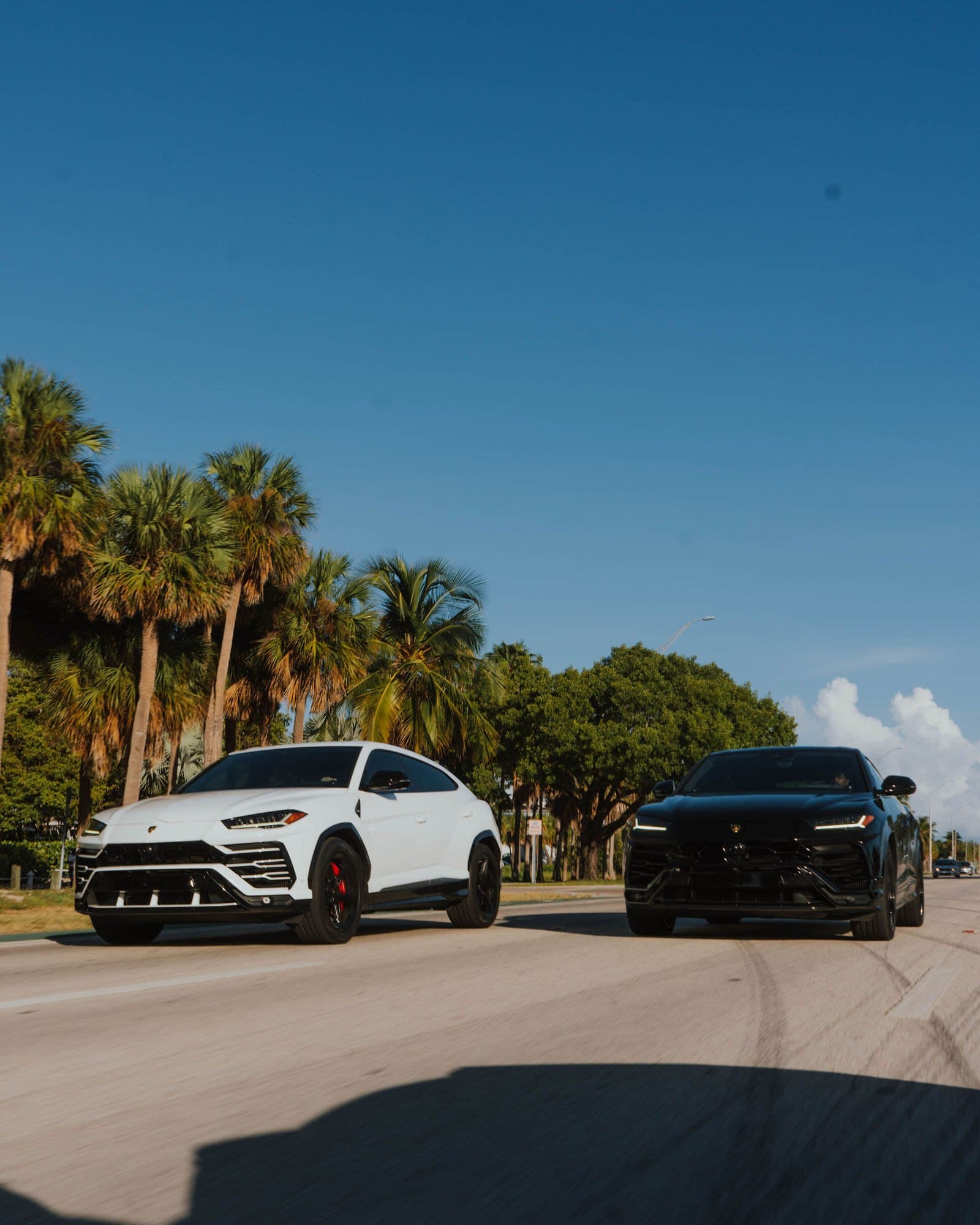 Two Lamborghini Urus SUVs driving under palm trees in Miami